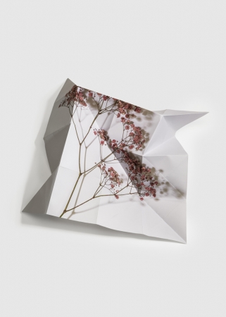 Delphine Burtin, Fragments 4-2,2022