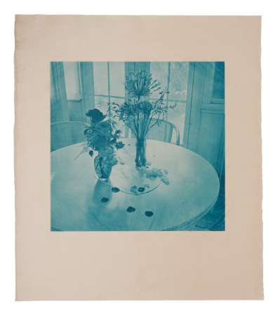 Stephen Hilger, Flowers, 1998/2003, photogravure, 24 x 21 inches, unique.