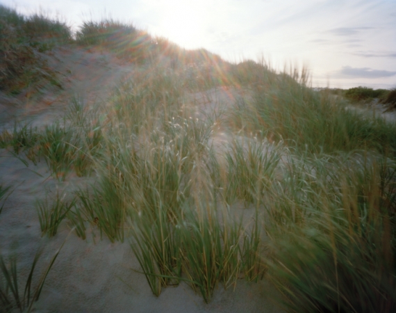 Katherine Wolkoff, Mansion Beach, 2021