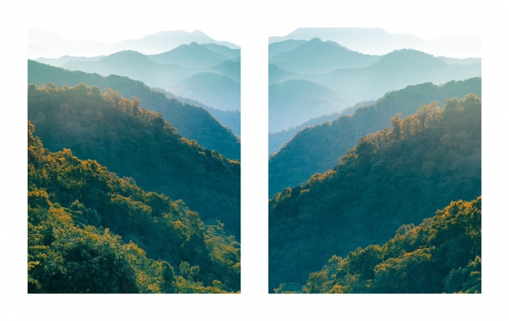 Eric Cahan, Mama Patch, diptych, 2021