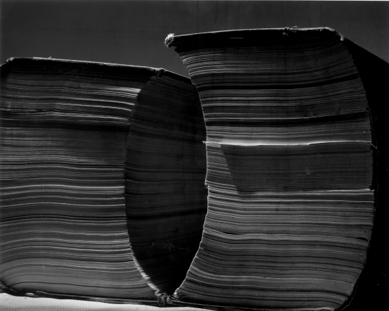 Abelardo Morell, Two Tall Books, 2002