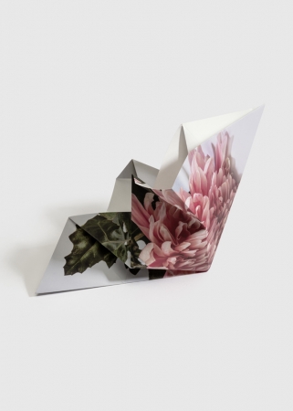 Delphine Burtin, Fragments 2-2,2022