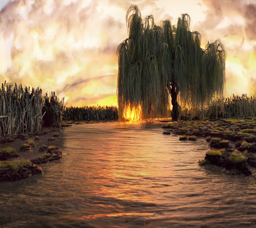 Matthew Albanese<br /> <em>A New Life #1</em><br /> Digital C print<br /> 14 x 16" &nbsp; &nbsp;edition of 15<br /> 26 x 30" &nbsp; &nbsp;Edition of 10<br /> 53 x 60" &nbsp; &nbsp;Edition of 5&nbsp;