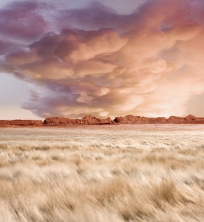 Matthew Albanese<br /> <em>After The Storm</em><br /> Digital C print<br /> 30 x 27" &nbsp;&nbsp;Edition of 10<br /> <br /> 