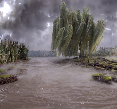 Matthew Albanese<br /> <em>A New Life #2</em><br /> Digital C print<br /> 14 x 16" &nbsp; &nbsp;Edition of 15&nbsp;<br /> 26 x 30" &nbsp; &nbsp;Edition of 10&nbsp;<br /> 53 x 60" &nbsp; &nbsp;Edition of 5&nbsp;