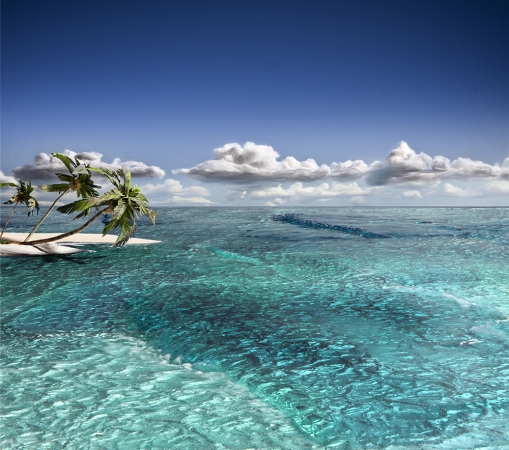 Matthew Albanese<br /> <em>Paradise</em>, 2010<br /> Digital C print<br /> 26 x 30" &nbsp; &nbsp;Edition of 10&nbsp;<br /> 42 x 48" &nbsp; &nbsp;Edition of 5 (plus 2 APs)