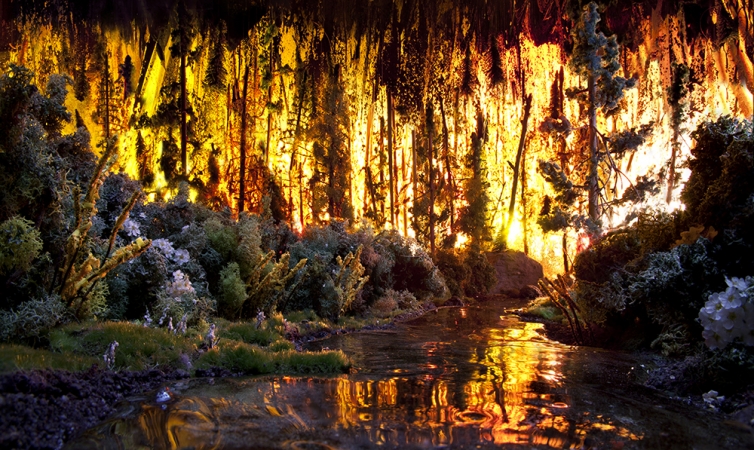 Matthew Albanese<br /> <em>Wildfire</em><br /> Digital C print<br /> 17 x 30" &nbsp; &nbsp;Edition of 10&nbsp;<br /> 28 x 48" &nbsp; &nbsp;Edition of 5&nbsp;