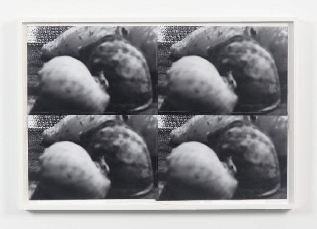 Jude Broughan<br /> <i>Collection</i>, 2016<br /> Archival pigment prints and thread in frame<br /> 15 3/4 x 14 3/8" (unique)&nbsp;