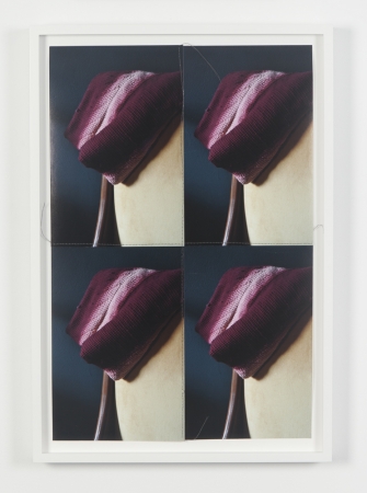 Jude Broughan<br /> <i>Curve and Loop</i>, 2016<br /> Archival pigment prints and thread in frame<br /> 21 3/4 x 14 3/8" (unique)&nbsp;