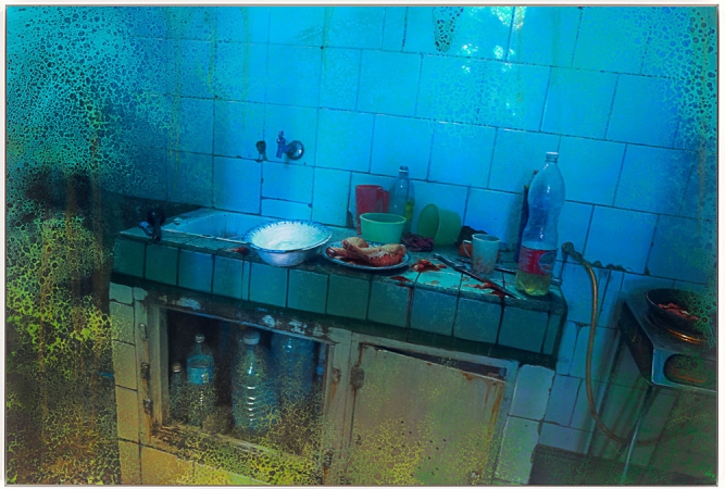 Eric Cahan<br /> <em>Foster Homes and Garden</em>, 2016<br /> Pigment print, oil paint and varnish<br /> 33.5 x 50" &nbsp;(unique)<br /> <br />