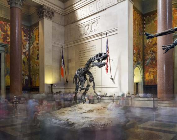 Matthew Pillsbury<br /> <i>Dinosaur, American Museum of Natural History, New York, 2015 (TV15071)</i><br /> Archival pigment ink prints<br /> 20 x 24" &nbsp; &nbsp;Edition of 10<br /> 30 x 40" &nbsp; &nbsp;Edition of 6 (plus 2 APs)<br /> 50 x 60" &nbsp; &nbsp;Edition of 2 (plus 1 AP)