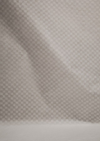 Delphine Burtin<br /> <em>Untitled (12), Encouble series</em>, 2013<br /> Archival pigment print<br /> 38.5625 x 27.5" &nbsp; &nbsp;Edition of 10 (plus 2 APs)