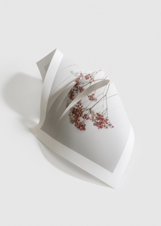 Delphine Burtin, Fragments 1-2, 2022