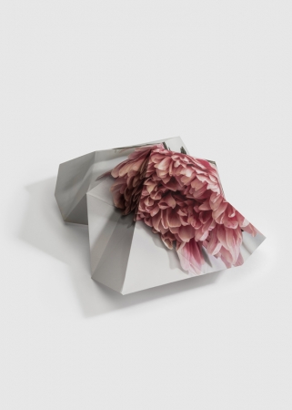 Delphine Burtin, Fragments 2-1, 2022
