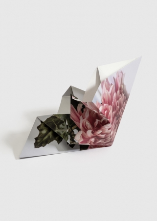 Delphine Burtin, Fragments 2-2, 2022