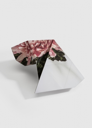 Delphine Burtin, Fragments 2-3, 2022