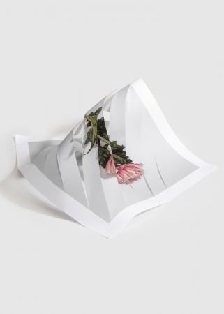 Delphine Burtin, Fragments 3-2, 2022