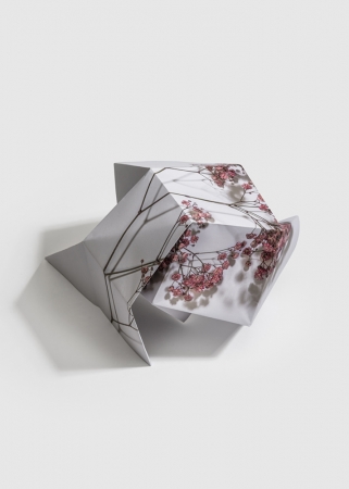 Delphine Burtin, Fragments 4-4, 2022