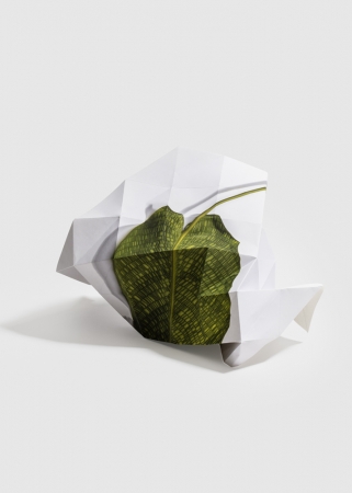 Delphine Burtin, Fragments 5-1, 2022