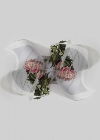 Fragments Delphine Burtin 2022 double impression D3-1