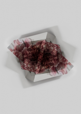Fragments Delphine Burtin 2022 double impression D2-1