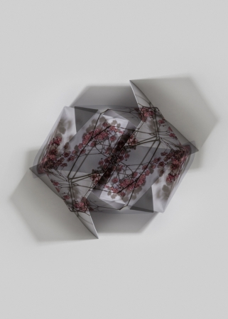 Fragments Delphine Burtin 2022 double impression D4-4