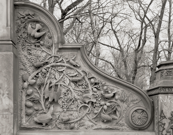 Jed Devine, Central Park series