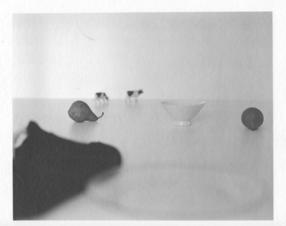 Jed Devine, Dishes And Fruit 2