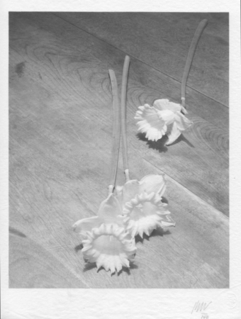 Jed Devine, Flowers
