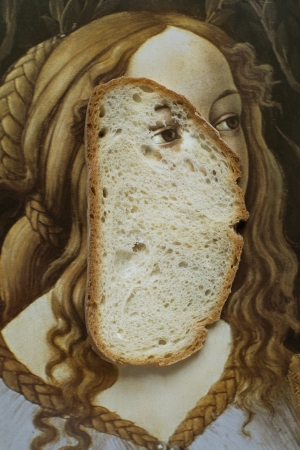 Jed Devine, Untitled (Bread-eye), 2013