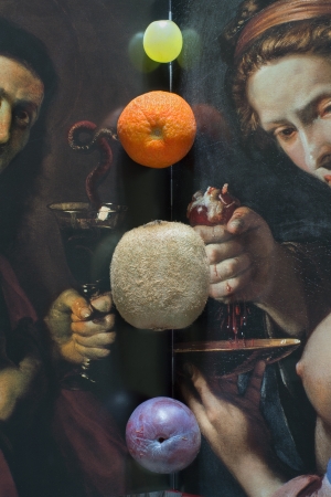 Jed Devine, Untitled (Fruitfold), 2013