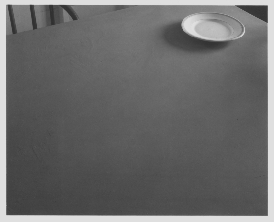 Jed Devine, Untitled (Tabletop With Plate)