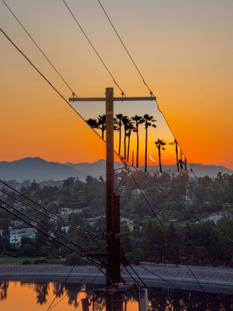 KangHee Kim, Untitled (Phone Poles at Sunset), 2022