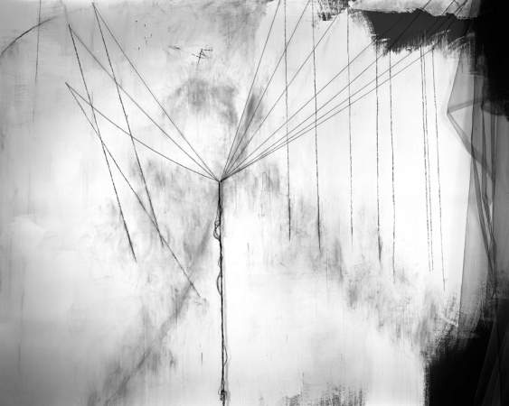 Lauren Semivan<br /> <em>Seven Sisters,&nbsp;</em>2015<br /> Archival ink print<br /> 24 x 30" &nbsp; &nbsp;Edition of 10<br /> 40 x 50" &nbsp; &nbsp;Edition of 5
