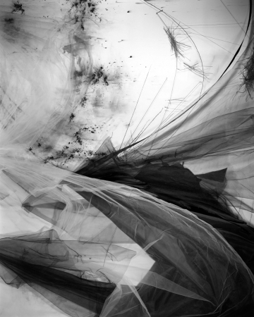 Lauren Semivan<br /> <em>Lining 2,&nbsp;</em>2016<br /> Archival ink print<br /> 24 x 30" &nbsp; &nbsp;Edition of 10<br /> 40 x 50" &nbsp; &nbsp;Edition of 5