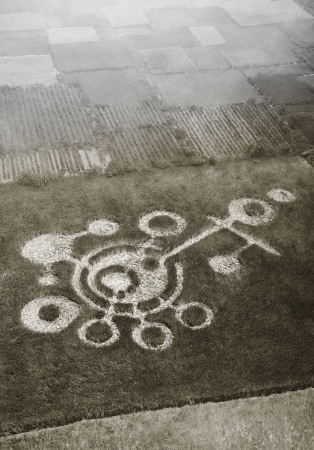 Matthew Albanese, Crop Circle#1, 2021