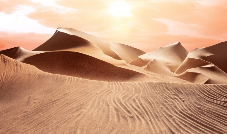 Matthew Albanese, Lines in the sand, 2021