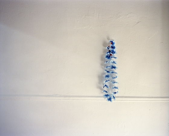Susannah Ray<br /> <em>Lei, Winter</em>, 2005<br /> Digital C-prints<br /> 20 x 24" &nbsp; &nbsp;Edition of 7<br /> 40 x 50" &nbsp; &nbsp;Edition of 5