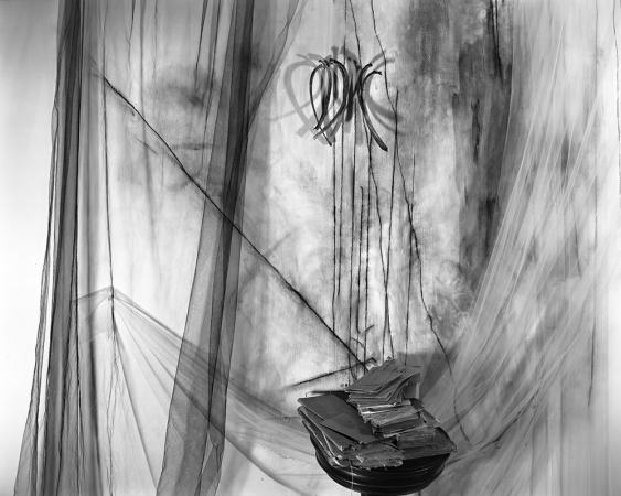 Lauren Semivan<br /> <em>Archive 2, </em>2013<br /> Archival ink prints<br /> 24 x 30" &nbsp; &nbsp;Edition of 10<br /> 40 x 50" &nbsp; &nbsp;Edition of 5