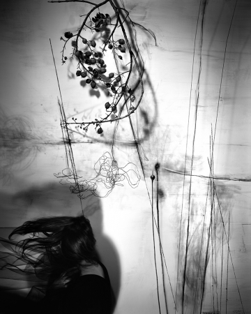 Lauren Semivan<br /> <em>Branches, </em>2011<br /> Archival ink prints<br /> 30 x 24" &nbsp; &nbsp;Edition of 10<br /> 50 x 40" &nbsp; &nbsp;Edition of 5