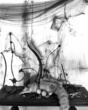 Lauren Semivan<br /> <em>Still Life With Fox and Lemons, </em>2012<br /> Archival ink prints&nbsp;<br /> 30 x 24" &nbsp; &nbsp;Edition of 10<br /> 50 x 40" &nbsp; &nbsp;Edition of 5