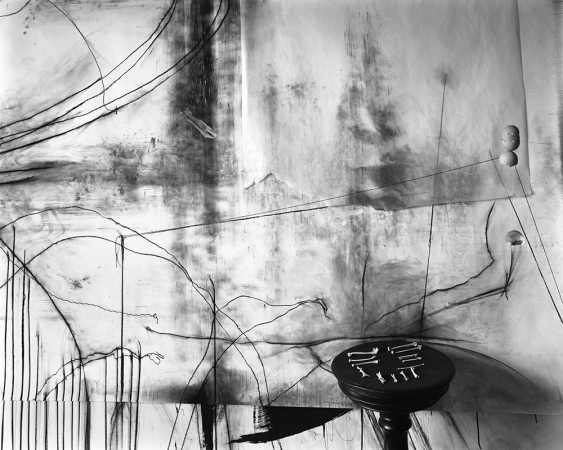 Lauren Semivan<br /> <em>Untitled (Bones), </em>2012<br /> Archival ink prints<br /> 24 x 30" &nbsp; &nbsp;Edition of 10<br /> 40 x 50" &nbsp; &nbsp;Edition of 5