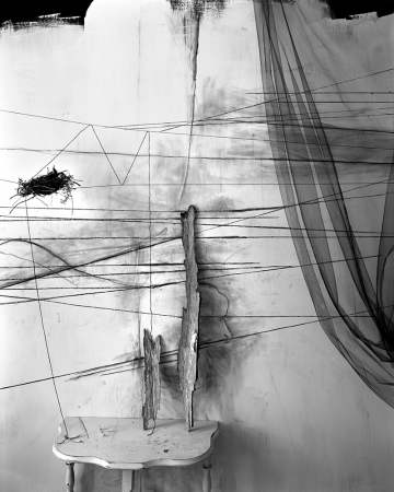 Lauren Semivan<br /> <em>Wishbones, </em>2011<br /> Archival ink prints<br /> 30 x 24" &nbsp; &nbsp;Edition of 10<br /> 50 x 40" &nbsp; &nbsp;Edition of 5