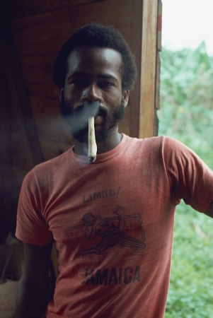 Roger Steffens and The Family Acid<br /> <i>A Spliff A Day, June,&nbsp;</i>1976<br /> Archival pigment print<br /> 24 x 20" &nbsp; &nbsp; Edition of 8