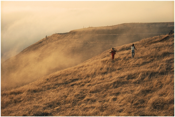 Roger Steffens and The Family Acid<br /> <i>Bolinas Ridge</i><br /> Archival pigment print<br /> 20 x 24" &nbsp; &nbsp; Edition of 8