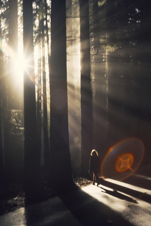 Roger Steffens and The Family Acid<br /> <i>The Redwood Alien, December,&nbsp;</i>1973<br /> Archival pigment print<br /> 24 x 20" &nbsp; &nbsp; Edition of 8