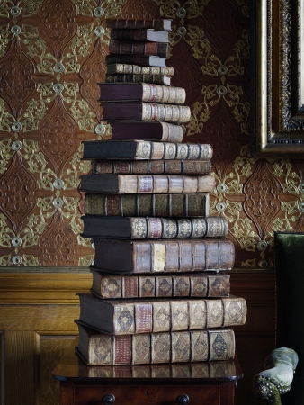 Simon Brown<br /> <em>A Tower of Knowledge, England, 2014</em><br /> Lambda photographic prints<br /> 20 x 15" &nbsp; &nbsp;Edition of 10<br /> 36 x 27" &nbsp; &nbsp;Edition of 6<br /> 36 x 48" &nbsp; &nbsp;Edition of 6<br /> 48 x 64" &nbsp; &nbsp;Edition of 3