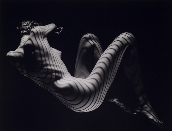 Fernand Fonssagrives<br /> <em>Contours, </em>1954 - 57<br /> Silver gelatin print<br /> Printed by the artist, circa 1975- 1980<br /> 11 x 14 inches<br /> Unique print