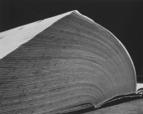 Abelardo Morell, Dictionary, 1994