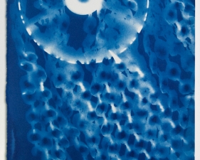 Vanessa Albury<br /> <i>Light Shadowgraphs, Chandelier X,&nbsp;</i>2017<br /> Cyanotype on paper<br /> 13 x 9"&nbsp;<br /> Unique